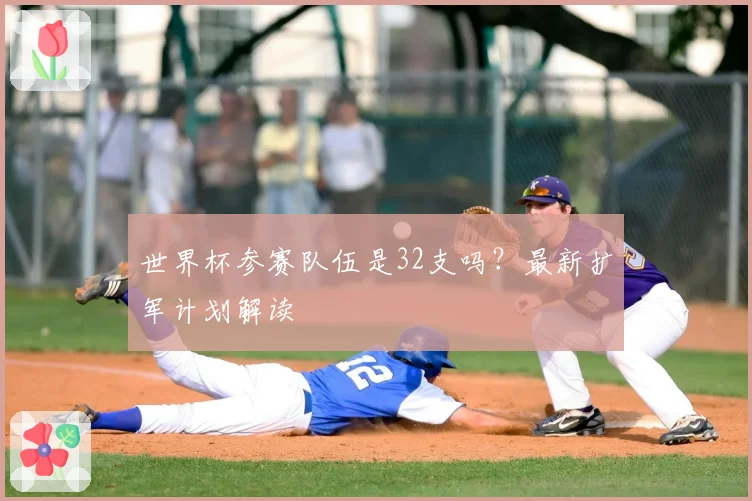 世界杯参赛队伍是32支吗?最新扩军计划解读