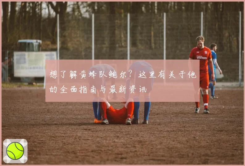 想了解黄蜂队鲍尔?这里有关于他的全面指南与最新资讯